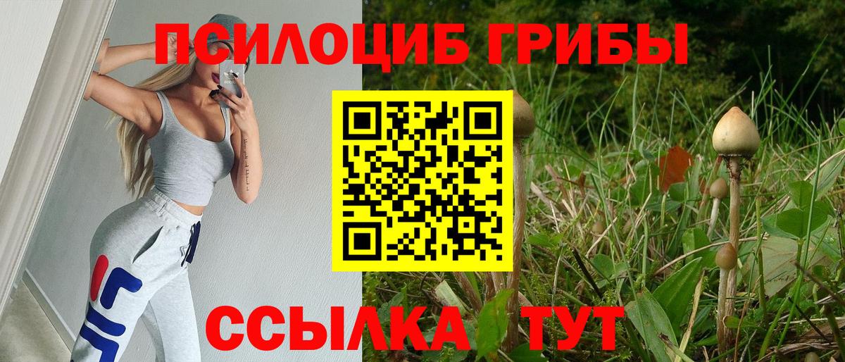 Галлюциногенные грибы мухоморы Омск